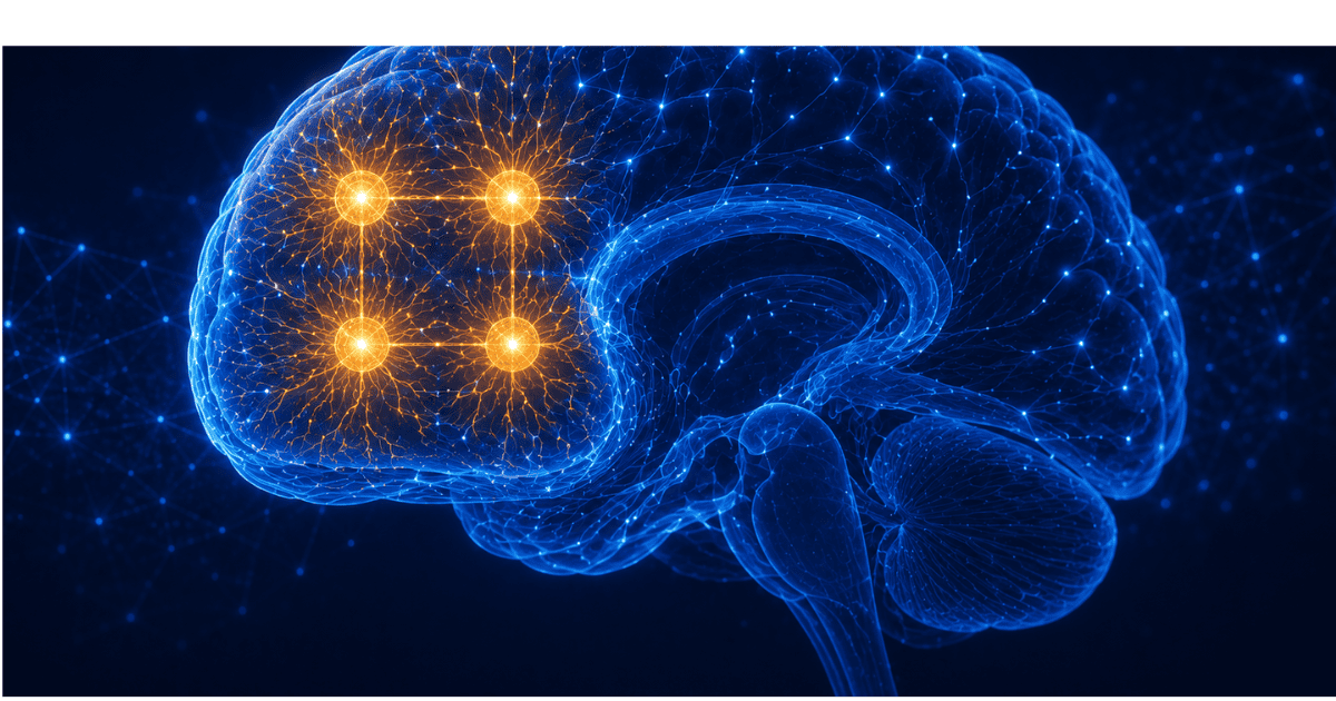 Working memory neuroscience guide: 4±1 chunk capacity limit, PFC cortisol vulnerability (Arnsten 2011), creatine working memory RCTs (Rae 2003, Bonn 2024), Alpha-GPC cholinergic enhancement, task-switching cost, and the Working Memory Optimisation Protocol