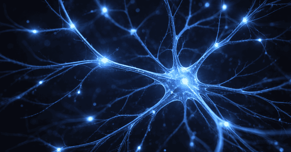 Glowing branching neuron with luminous synaptic connection points representing the mechanisms of neuroplasticity and brain structural change