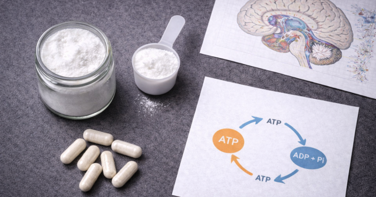 Creatine monohydrate powder beside ATP energy cycle diagram and neuron synapse illustration on a dark surface