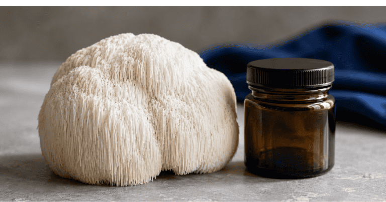 Lion's mane mushroom (Hericium erinaceus) fruiting body beside a supplement extract jar