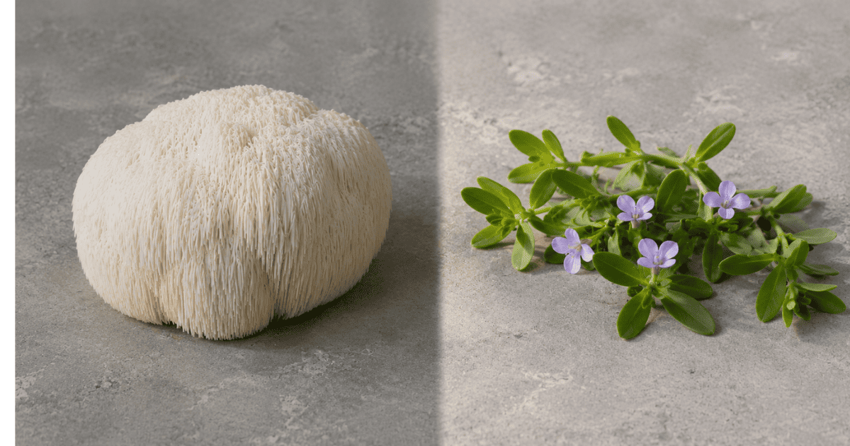Lion's mane mushroom and bacopa monnieri side by side for cognitive supplement comparison