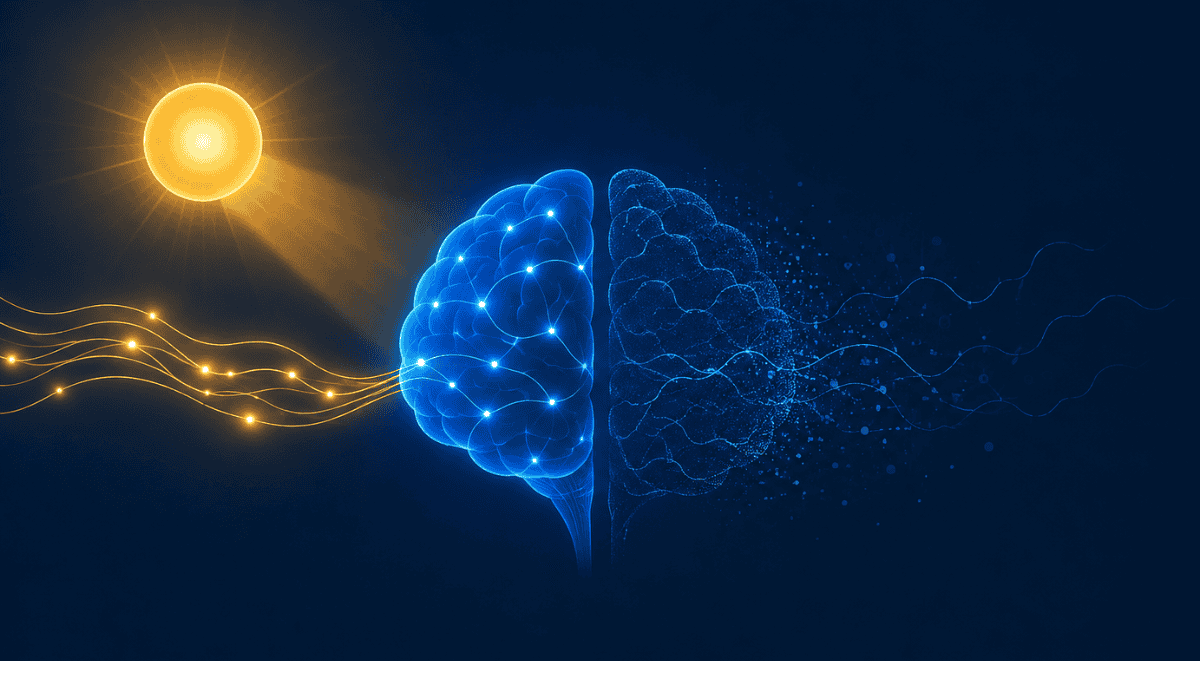 Illustration linking vitamin D and cognitive function, contrasting the real signal with the hype